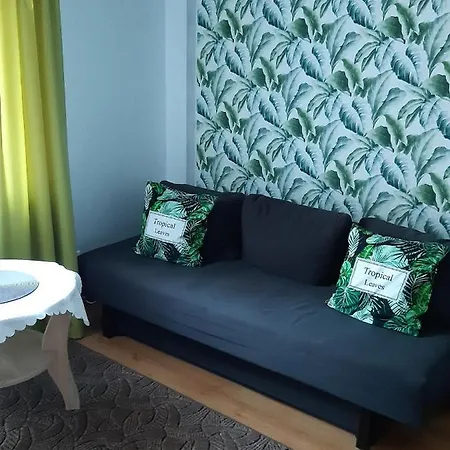 Waldi * Grzybowo (West Pomeranian)